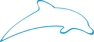 animazione delfino