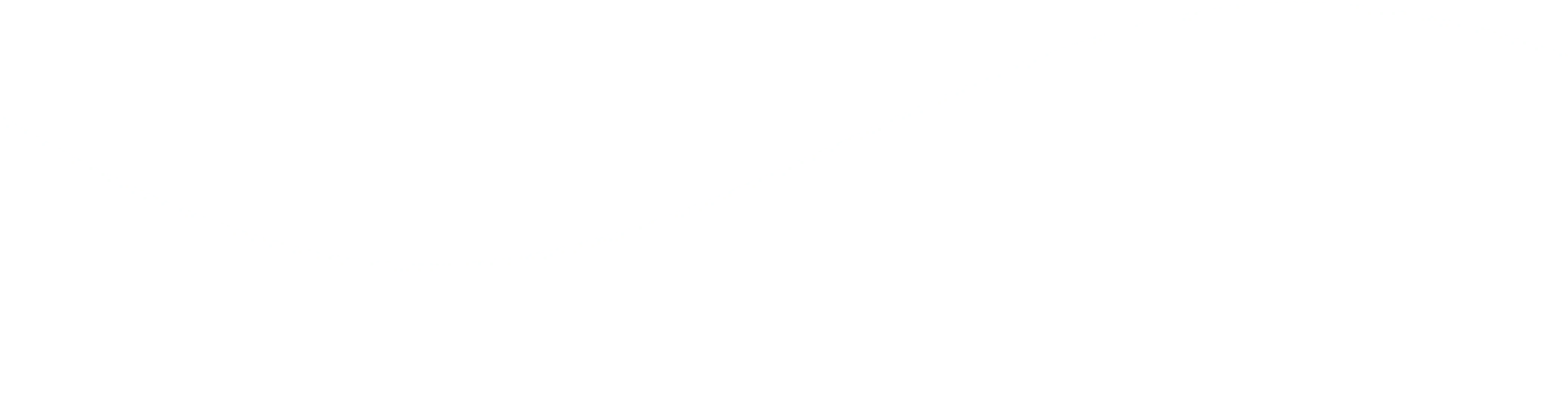 Onda Separatore Zoomarine
